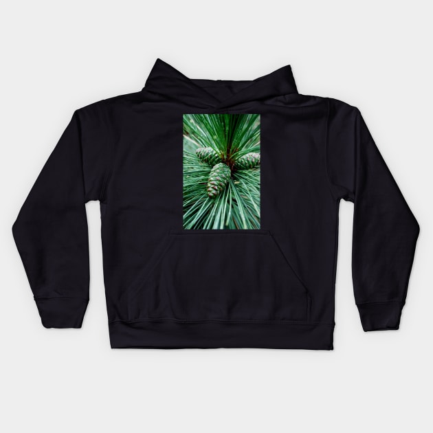 Pine Cones Kids Hoodie by LaurieMinor